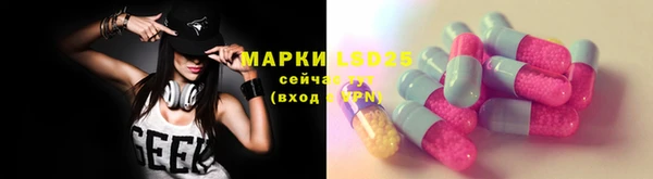 ПСИЛОЦИБИНОВЫЕ ГРИБЫ Алзамай