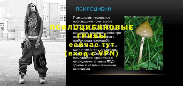 ПСИЛОЦИБИНОВЫЕ ГРИБЫ Алзамай