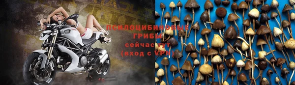ПСИЛОЦИБИНОВЫЕ ГРИБЫ Алзамай